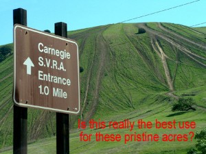 CarnegieR-300x225.jpg