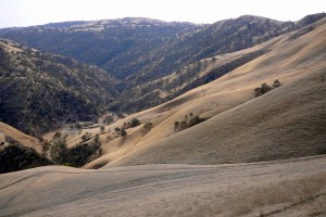 Looking south past Tesla town site