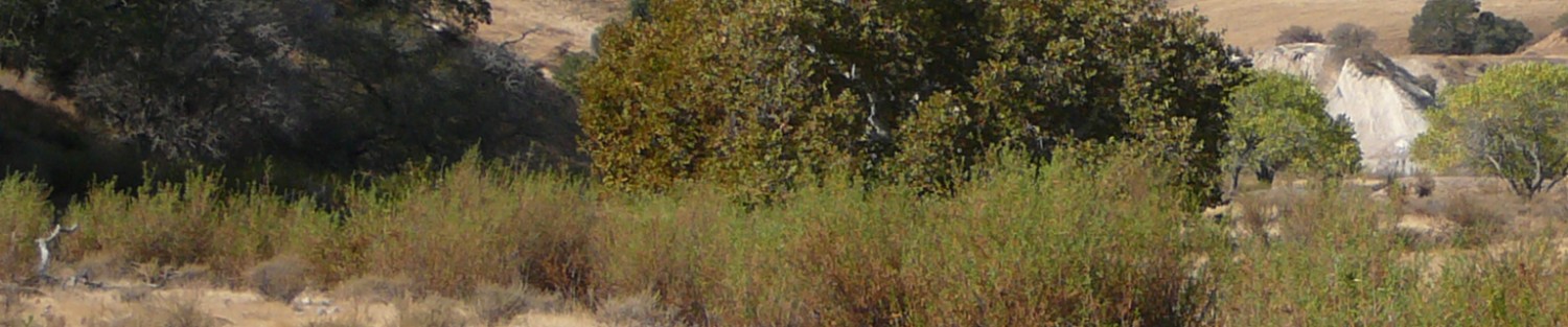 SAVE Tesla Park
